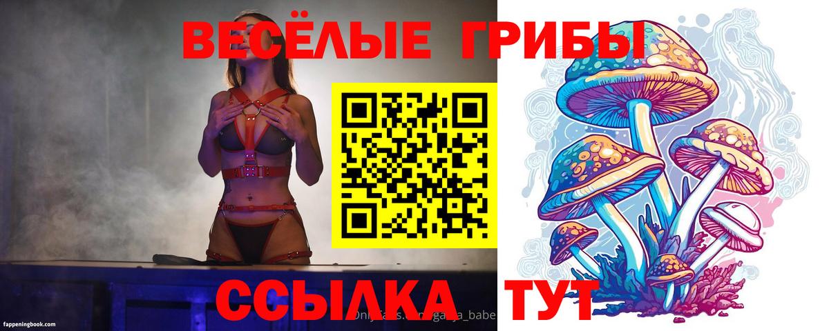 Рязань  Псилоцибиновые грибы ЛСД  Вход с VPN 