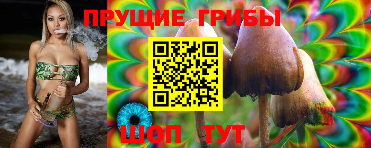 Галлюциногенные грибы мухоморы Рязань
